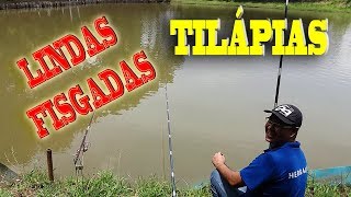 PESCARIA de TILAPIA em PESQUEIRO  Pescaria de Tilapia com Vara Telescópica e Molinete [upl. by Fitzsimmons957]