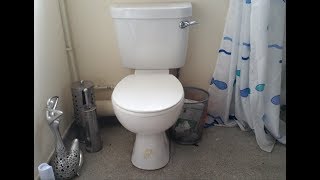 Armitage Shanks Sandringham Universal toilet at my mates house Port Talbot [upl. by Erret]