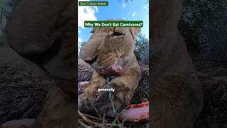 Carnivore Meat Why It’s Not on Your Plate [upl. by Corin]