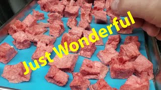 Freeze Drying Watermelon [upl. by Octave]