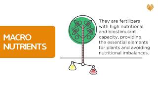 Hydro Fert Macronutrients [upl. by Euqenimod328]