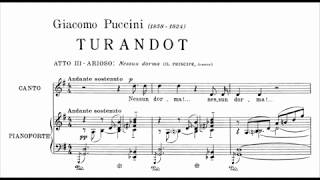 Nessun dorma Jonas Kaufmann Score [upl. by Yankee]