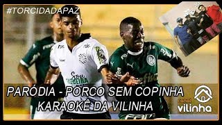 Paródia Porco sem Copinha Karaokê da Vilinha [upl. by Narahs155]