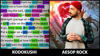 Aesop Rock  Kodokushi Rhyme Scheme Highlighted [upl. by Atela220]