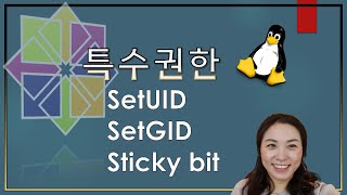 리눅스 기초  파일속성변경3 SetUID SetGID Sticky bit [upl. by Aneeg]