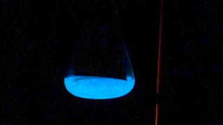 Glowing bioluminescent bacteria in culture [upl. by Giustino]