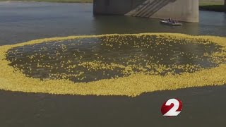 Rubber Duck Regatta makes a splash in the Great Miami [upl. by Steven597]