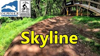 Full run down Skyline at Snowshoe Bike Park riding my Giant Trance X 29 in 4K [upl. by Harpole]