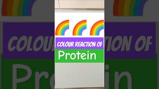 colour reaction of protein protein proteins proteinsbiochemistry shorts biochemistry mbbs [upl. by Secnirp]