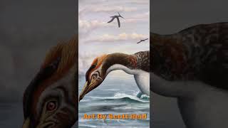 Some Prehistoric Birds education paleontology zoology dinosaur birds [upl. by Merle]