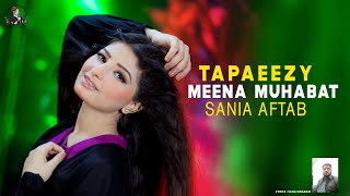 Tappaezy  Meena Muhabbat Pashto Song  Sania Aftab Official Video Song [upl. by Renaud371]