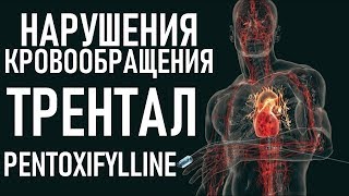 Пентоксифиллин ПОВЫШАЕТ ВЫЖИВАЕМОСТЬ  Trental pentoxifylline indications interactions [upl. by Russian805]