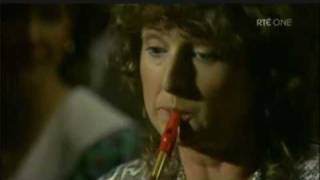 Mary Bergin Tin Whistle [upl. by Alrahs]