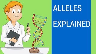 What is an allele   Allele examples [upl. by Tullusus]