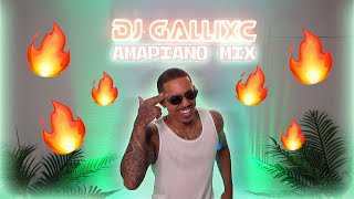 Amapiano Mix 2024  The Best of Amapiano 2024 by DJ GallixC [upl. by Hudis]