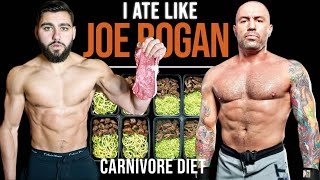 I Tried Joe Rogans Carnivore Diet [upl. by Allekim94]