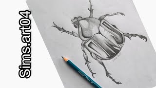 How to draw realistic beetle drawing  Insect drawing  Graphite pencil drawing tricks [upl. by Kwasi160]