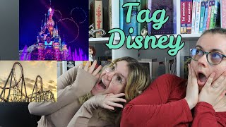 Tag livresque parc dattractions  Disney [upl. by Mimi16]