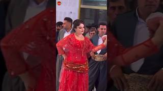 halparke dance kurdishdance [upl. by Eaj]