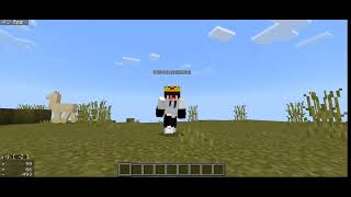 Client MCPE [upl. by Watters]