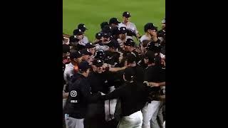 Benches clear in Yankees Orioles game [upl. by Hedaza739]