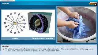 Saponification Reaction Carbon and its Compounds Class 10 Physics [upl. by Dyan]