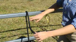 How To Tie A Quick Release Knot  Local Horse Magazine [upl. by Ulane]