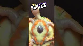 This little Turtle have open heart ❤️ 🥺 animals animalstories shorts barnacles turtle [upl. by Kcire]