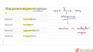 What protects enzyme nitrogenase [upl. by Koch]