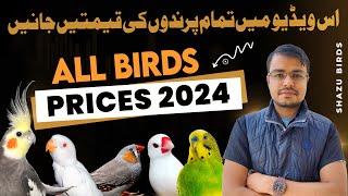 All Birds Prices 2024  Lovebirds  Java Sparrow  finches  Budgies Cocktails  Dove rates [upl. by Elliot]