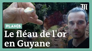 Guyane  sur la piste des chercheurs d’or illégaux [upl. by Suoiradal101]