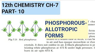 12th Chemistry Ch7Part10Allotropes of PhosphorousStudy with Farru [upl. by Lyrpa198]