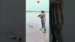 Pathan Machli ka Shikar CATFISH FISHING VIDEO fishing kmzfishing shots catfish karimanagar [upl. by Yelak]