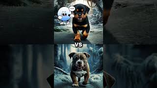 White Dog vs Black Dog ai dog vs viral2024 funny [upl. by Scibert]