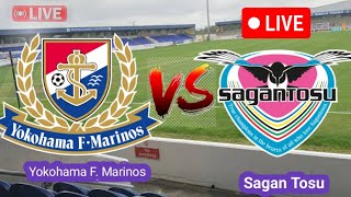 Yokohama F Marinos VS Sagan Tosu Today Football Live Match [upl. by Aisiram]