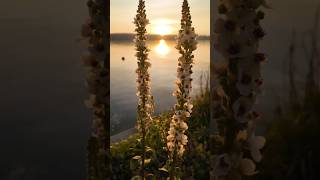 Überlingen Bodensee Baden Württemberg Germany [upl. by Leimad283]