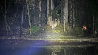 bohemian grove infiltration [upl. by Berry614]