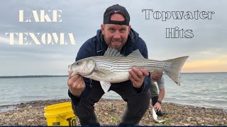 Lake Texoma  Spring Topwater Fishing  Blow ups on top [upl. by Frederica879]