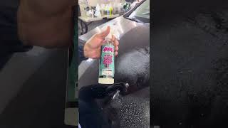 Lavage décontamination protection automobile detailing [upl. by Gerc]