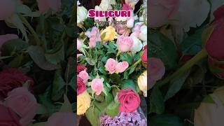 Affordable flower market  ft Siliguri  flowers siliguri winter vlog lifestyle viralshort [upl. by Harlin780]