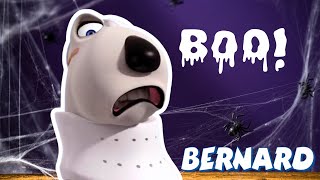 Bernards Scariest Moments When Fear Took Over 😂👻 Full Episodes  VIDEOS and CARTOONS FOR KIDS [upl. by Violeta]