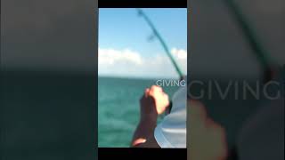 Tarpon fishing Florida Keys Giants😋🐟 fishing [upl. by Piane63]