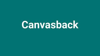 Canvasback Meaning and Pronunciation [upl. by Teahan]