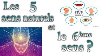 Les 5 sens naturels et le 6ème sens [upl. by Lanctot]