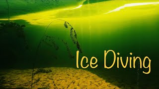 Ice Diving the Menominee Marina in Michigan [upl. by Willow614]