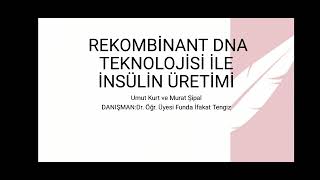 İTS101Rekombinant DNA Teknolojisi ile İnsülin Üretimi Dr Öğr Üyesi Funda İfakat TENGİZ [upl. by Eelame]