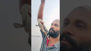 പരപ്പനങ്ങാടി കടലിൽ അമൂർ പിടുത്തം fishing seafishing dilsenoushad [upl. by Crowell]