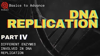 Proteins Involved in DNA Replication  DNA Replication  Part 4  Basics to Advance [upl. by Ihcehcu]