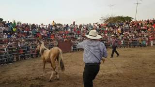 Rodeo Montubio Naranjal 2016 [upl. by Anaitat954]