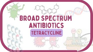 Broad spectrum antibioticsTetracyclinesPharmacology [upl. by Eidak]